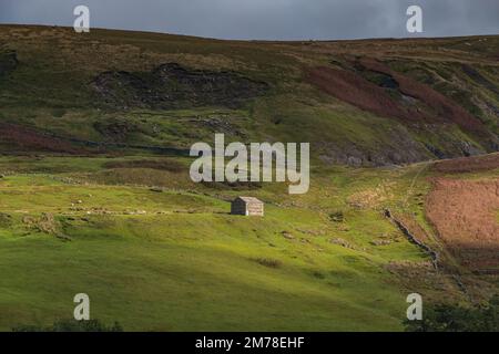 Hillside Barn bei Keld, Swaledale im Yorkshire Dales National Park Stockfoto