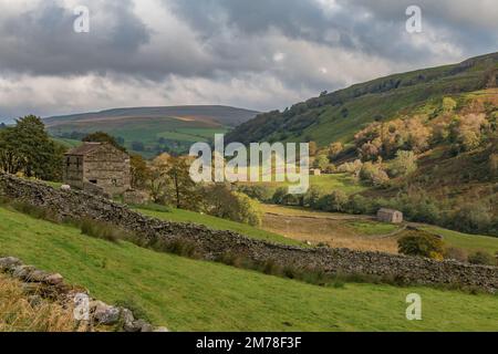 Mit Blick auf Keld, Swaledale im Yorkshire Dales National Park Stockfoto