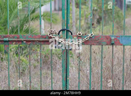 Rostiges Tor mit verriegeltem Generalschlüssel und Kette. Stockfoto