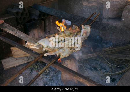 Cui al palo. Cui ist der Name der guineischen Schweine in Perú. Die Leute in diesem Gebiet essen diese Tiere, normalerweise geröstet. Stockfoto