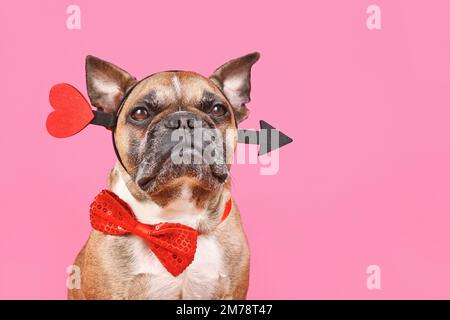 Französischer Bulldog zum Valentinstag mit Amor-Liebespfeil und Fliege auf pinkfarbenem Hintergrund mit Kopierbereich Stockfoto