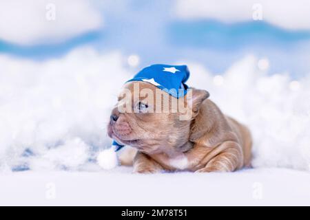 Französischer Bulldog Welpe mit Schlummertrunk zwischen flauschigen Wolken und Sternen Stockfoto