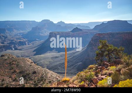 Blick auf den Grand Canyon vom südlichen kaibab Wanderweg Stockfoto