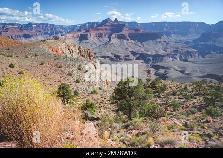 Blick vom südlichen kaibab-Ausgangspunkt auf den Grand Canyon Stockfoto