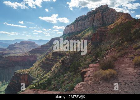 Grüner südlicher Rand des Grand Canyon, vom Canyon aus gesehen Stockfoto