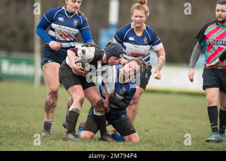 Mansfield, Nottinghamshire, England, Großbritannien. 8. Januar 2023. Mansfield Women gegen Burton Ladies Amateur Rugby Union Spieler spielen auch bei Regen, Nässe und Schlamm weiter, während sich Regenschauer in allen Teilen Großbritanniens bewegen. Kredit: Alan Beastall/Alamy Live News Stockfoto