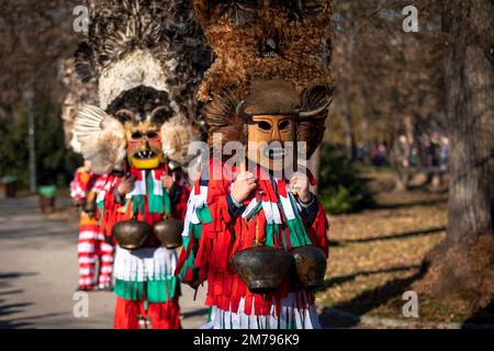 Sofia, Bulgarien - 08. Januar 2023: Unbekannter Mann in traditioneller Kuker-Kostüm beim Surva Masquerade Games Festival in Sofia, Bulgarien. Kuker, CO Stockfoto