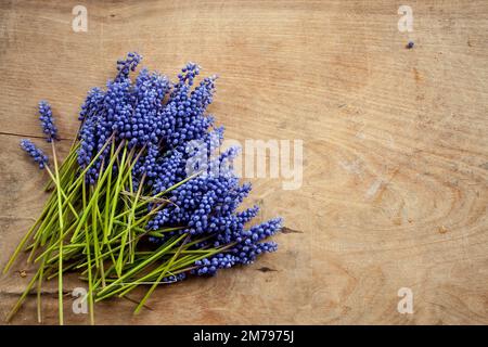 Osterbacken. Mazurkas und Osterkuchen. Die Arbeit eines Konditors Stockfoto