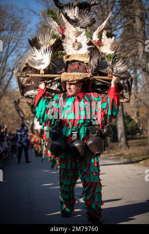 Sofia, Bulgarien - 08. Januar 2023: Unbekannter Mann in traditioneller Kuker-Kostüm beim Surva Masquerade Games Festival in Sofia, Bulgarien. Kuker, CO Stockfoto