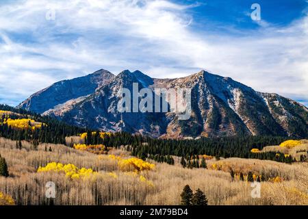 Herbstfarben; Aspen Bäume; Anthrazit Range; West Elk Mountains bei Kebler Pass; Colorado; USA Stockfoto