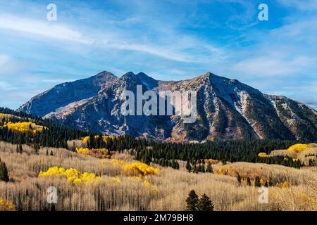 Herbstfarben; Aspen Bäume; Anthrazit Range; West Elk Mountains bei Kebler Pass; Colorado; USA Stockfoto