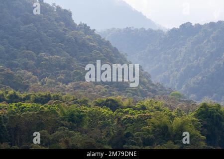 Wolkenwald Panorama, Mindo, Quito Region, Ecuador. Stockfoto