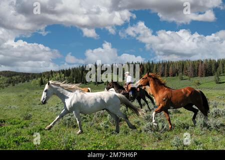 USA; Rocky Mountains; Wyoming; Sublette County; Pinedale; Auf einer Ranch fliegen; Stockfoto