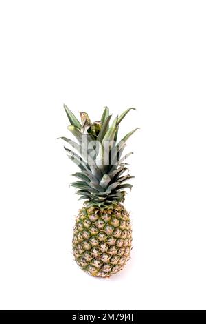 Einzelne Ananas, isoliert auf weißem Hintergrund. Ananasfrüchte ganz. Schnittpfad Für Ananas Stockfoto