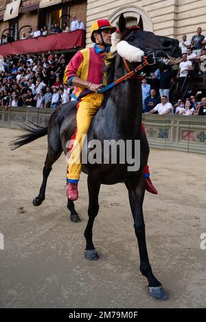 Siena, Italien - August 15 2022: Fantino Jonatan Bartoletti rief Scompiglio Jockey für Contrada Chiocciola Reitpferd beim Prova Trial Race for th an Stockfoto