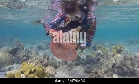 Frau in Tauchausrüstung schwimmt und sammelt Plastikmüll unter Wasser auf dem Boden des Korallenriffs. Schnorchler reinigt Ozean von Plastikverschmutzung. Stockfoto