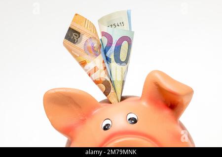 Pinkfarbenes Sparschwein mit Euro-Scheinen, 50 Euro, 20 Euro, Detail, Studiofotografie Stockfoto