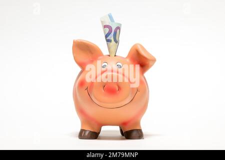 Pinkfarbenes Sparschwein mit Euro-Schein, 20 Euro, Studiofotografie Stockfoto