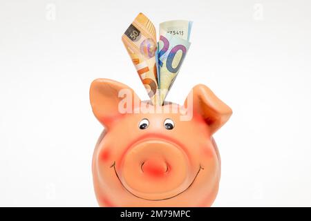 Pinkfarbenes Sparschwein mit Euro-Scheinen, 50 Euro, 20 Euro, Detail, Studiofotografie Stockfoto