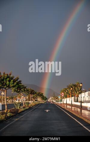 Regenbogen über einer Straße mit Palmen, Sonnenaufgang am Morgen mit Regen, Corralejo Naturpark Park, Fuerteventura, Kanarische Inseln, Spanien, Atlantik Stockfoto