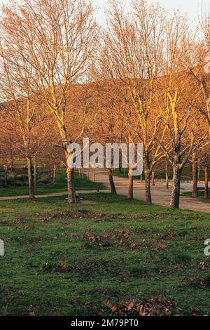 Wege im Park in El Escorial bei Sonnenaufgang Stockfoto