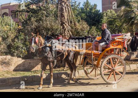 KAIRO, ÄGYPTEN - 28. JANUAR 2019: Pferdekutsche in Gizeh, Ägypten Stockfoto