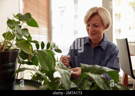 Glückliche reife Frau, die sich zu Hause um Zimmerpflanzen kümmert und sie tränkt. Hausarbeit- und Pflanzenpflegekonzept Stockfoto