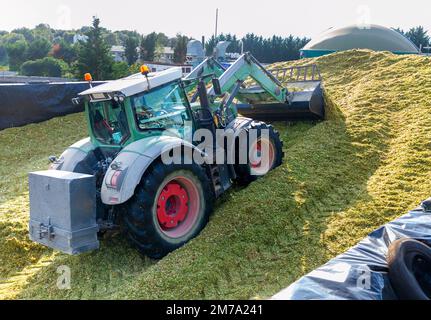 Gewinnung von Silage Stockfoto