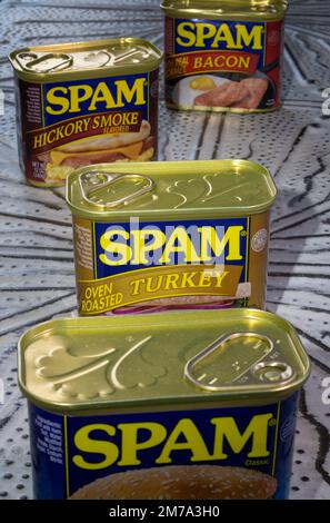 Dosen von Spam Luncheon Meat, USA Stockfoto