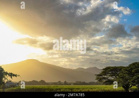 Golden Hour über die grünen Hügel und Felder von Cairns im fernen Norden Queenslands, Australien - aus der Sicht der Kuranda Scenic Railway Stockfoto