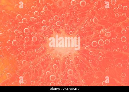 Nahaufnahme einer Grapefruitscheibe in Flüssigkeit mit Blasen. Eine Scheibe roter, reifer Grapefruit im Wasser. Nahaufnahme eines frischen, von Blasen bedeckten Grapefruitstücks.