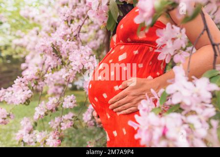 Schwangerschaft. Schwangere Porträt in Kirschblüten rosa Frühlingsblumen. Neue Saison und neues Life-Konzept. Frau im dritten Trimester erwartet Stockfoto