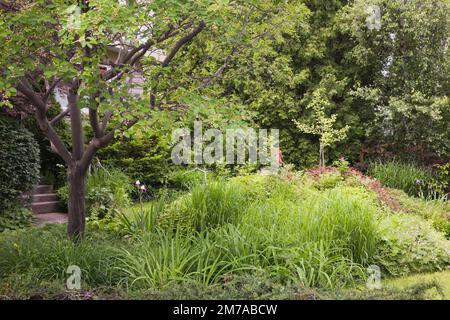 Vorgarten mit organischem Ziergarten und Hausfassade im späten Frühling. Stockfoto