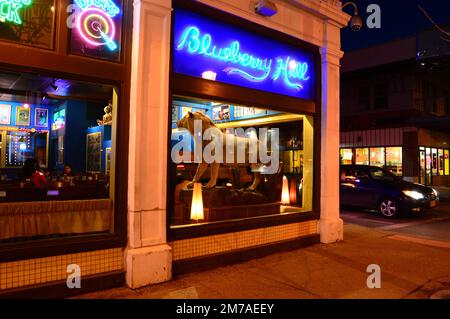 Ein ausgestopfter Löwe wird in einem Café im Blueberry Hill-Viertel von St. Louis, Missouri, dem Zentrum des Nachtlebens der Stadt, ausgestellt Stockfoto