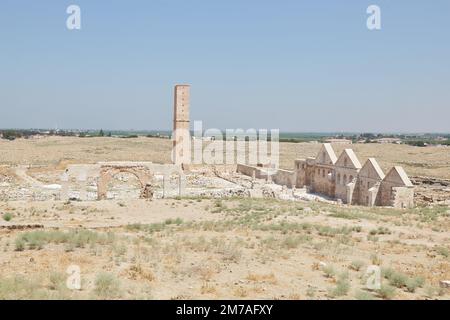 Der antike Zitadelle-Hügel von Harran im Südosten der Türkei Stockfoto