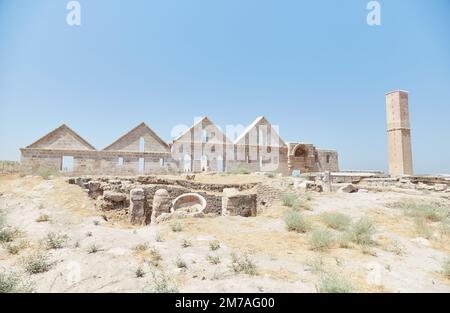 Der antike Zitadelle-Hügel von Harran im Südosten der Türkei Stockfoto