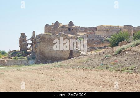 Harran Castle, erbaut von den Umayyads über einem älteren Tempel der Gottessünde Stockfoto