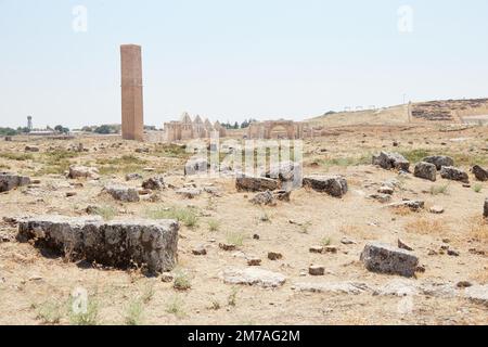 Der antike Zitadelle-Hügel von Harran im Südosten der Türkei Stockfoto