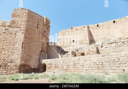 Harran Castle, erbaut von den Umayyads über einem älteren Tempel der Gottessünde Stockfoto