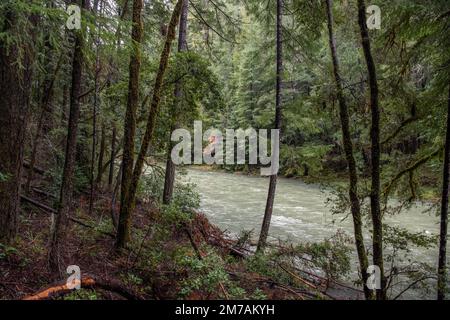 Die South Fork of the Ael River im Mendocino County fließt durch üppige Wälder im Norden von Kalifornien, USA. Stockfoto