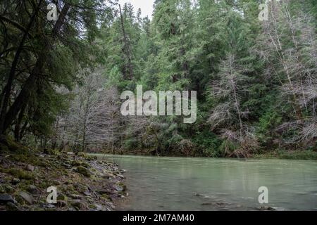 Die South Fork of the Ael River im Mendocino County fließt durch üppige Wälder im Norden von Kalifornien, USA. Stockfoto