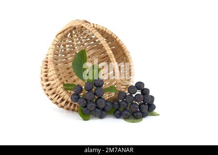 Aronia, allgemein bekannt als die Apfelbeere, mit Blättern. Frisch gepflückte, selbstgewachsene Aronia-Beeren isoliert auf weißem Hintergrund Stockfoto