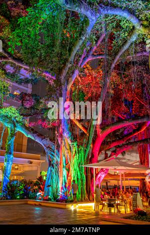 Honolulu, Hawaii - 2. Januar 2023: Genießen Sie den späten Abend auf der Terrasse des Wahrzeichens Moana Surfrider. Stockfoto