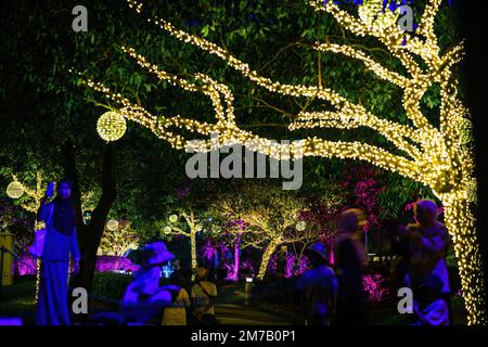 Putrajaya, Malaysia - 18. Juli 2022 LED-Lichter an den Bäumen im Garten. Neon-Feen-Party mit Besuchern. Stockfoto