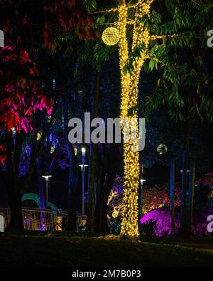 LED-Lichter an den Bäumen im Garten. Neon-Feen-Party. Stockfoto