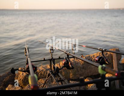 Karpfenrute auf dem Stand beim Angeln. Stockfoto