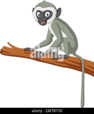 Süßer Langur-Affen-Cartoon auf dem Ast Stock Vektor