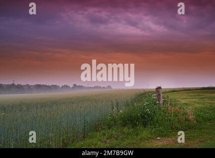 Morgenpausen über einer dänischen Wiese. Am frühen Morgen Himmel über einer Wiese in Dänemark. Stockfoto