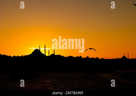 Silhouette von Istanbul bei Sonnenuntergang mit einer Möwe und Moscheen. Hintergrundfoto von Istanbul. Ramadan oder islamisches Konzeptfoto. Stockfoto