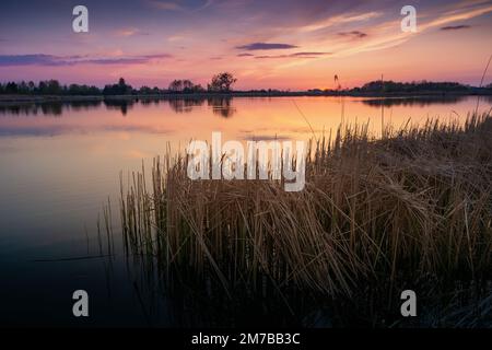 Die Farben am Himmel nach Sonnenuntergang über dem See mit Schilf, Stankow, Ostpolen Stockfoto